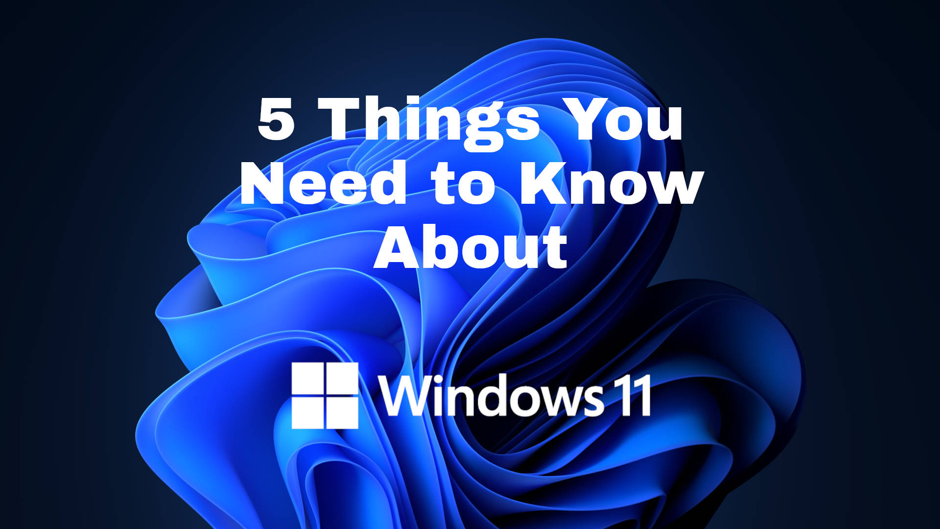 Image of Windows 11 Screensaver with the text '5 Things you need to know about' and the Windows 11 logo.
